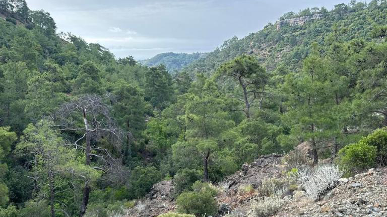 Lycian Way - Alacasu - Kuzdere